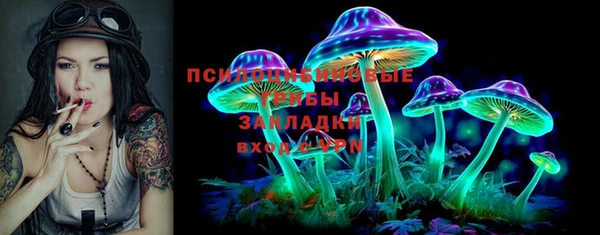меф Богородицк